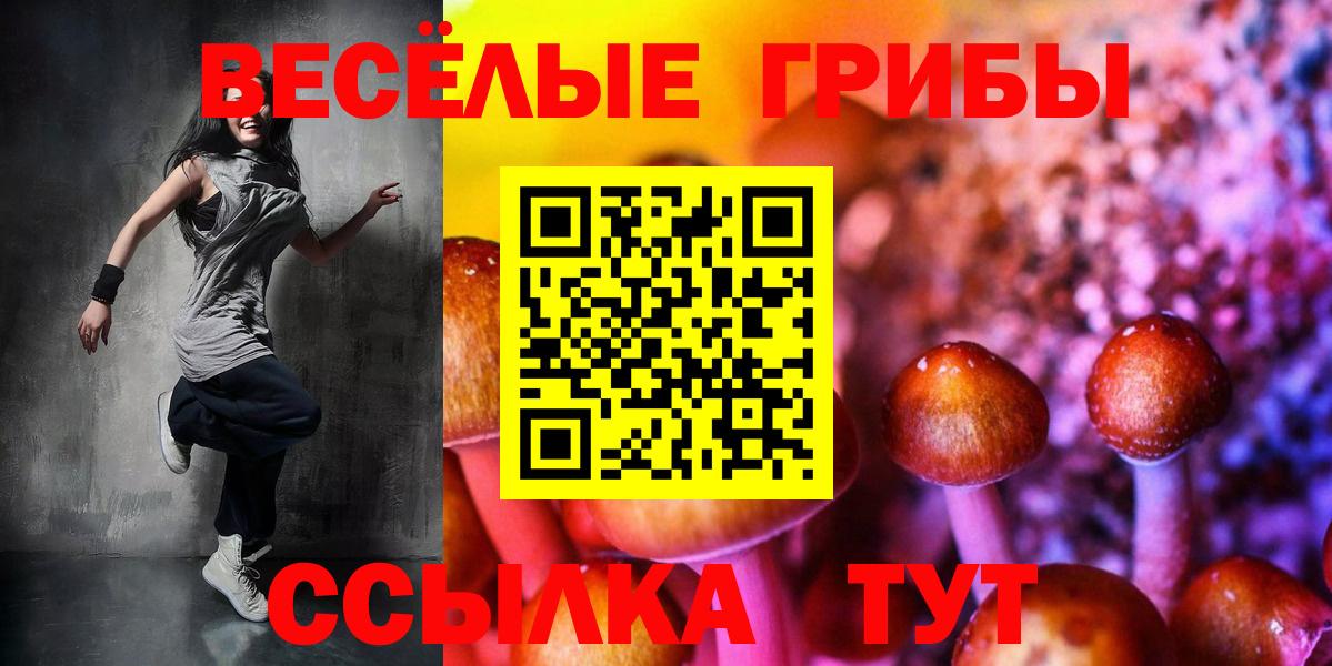Псилоцибиновые грибы Psilocybine cubensis  Вход с VPN  Пермь  Псилоцибиновые грибы ЛСД 